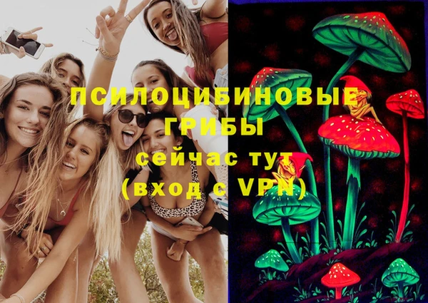 прущие грибы Баксан