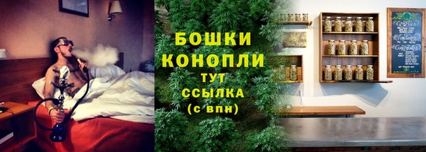 прущие грибы Баксан