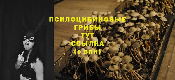 гидра Балахна