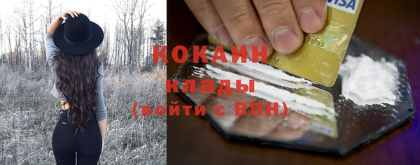 прущие грибы Баксан