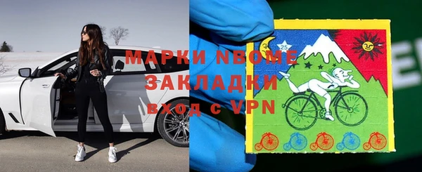 прущие грибы Баксан